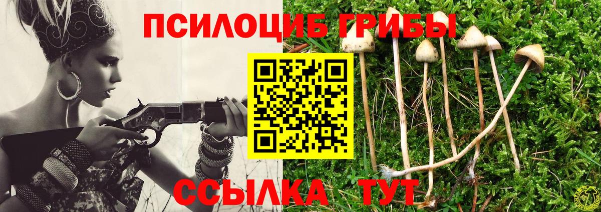 Галлюциногенные грибы Cubensis Боровичи
