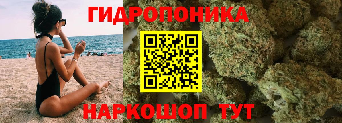 Марихуана конопля  Шишки марихуана Bruce Banner  Боровичи  Вход с VPN  Бошки марихуана марихуана 